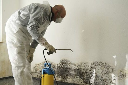testing for mold in house portland oregon