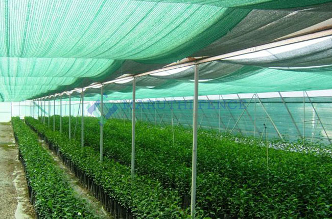 Agriculture shade net supplier