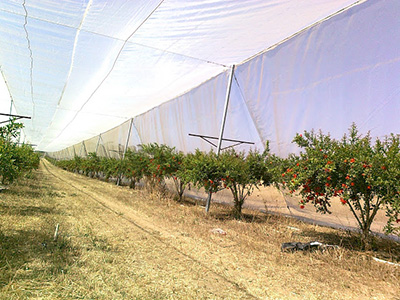 Agriculture shade net factory