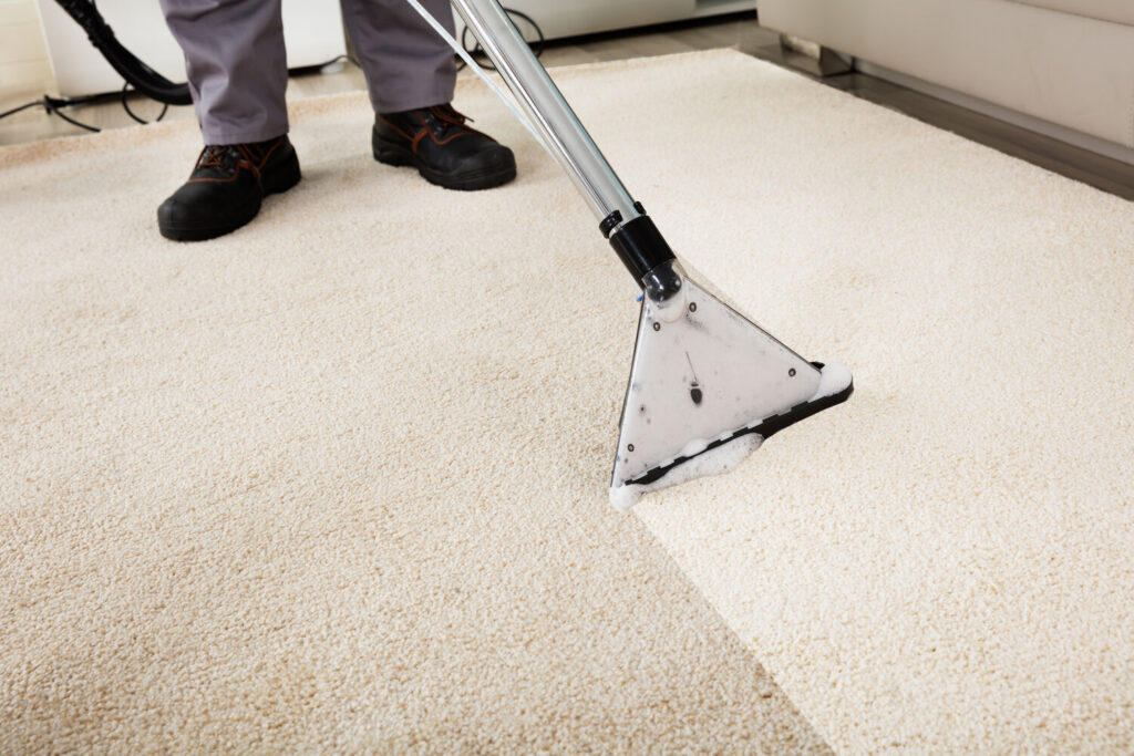 Carpet cleaning Fredericksburg 
